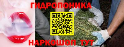 гашиш Новозыбков
