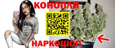 соль ск Новодвинск
