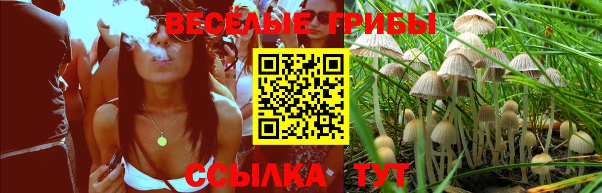 Псилоцибиновые грибы MAGIC MUSHROOMS  Вход с VPN  Усолье-Сибирское 
